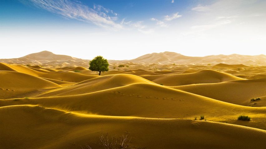 Die Sandwüste Rub al-Chali an der Grenze zwischen Oman und den Vereinigten Arabischen Emiraten
