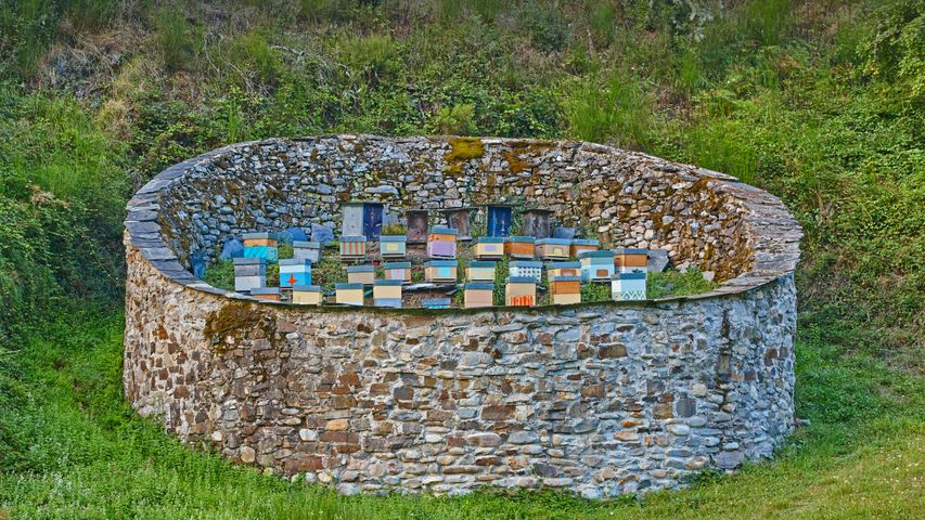 Bienenstöcke im Biosphärenreservat Muniellos, Provinz Asturien, Spanien