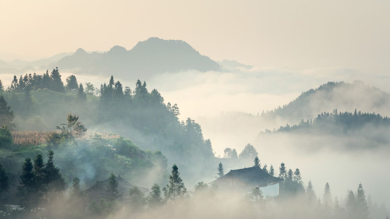 【今日清明】（ © yangphoto ）