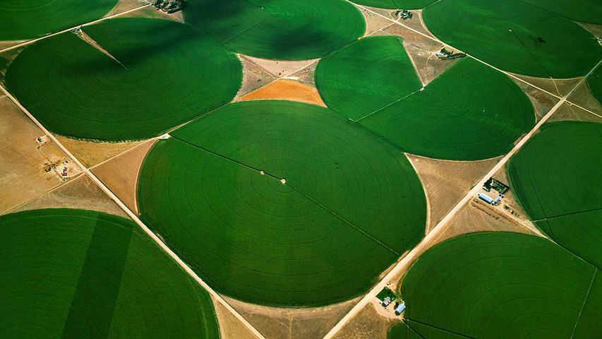 Kreisförmige Ackerflächen in Morgan County, Colorado, USA