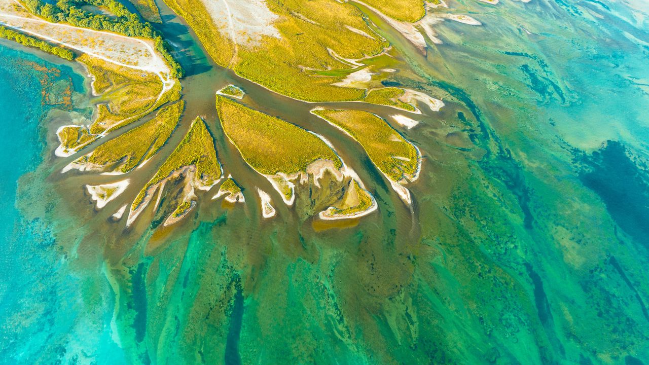 河流与水库交汇