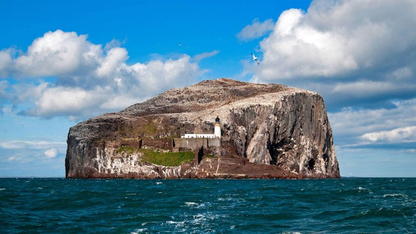 Bass Rock in Schottlands Firth of Forth
