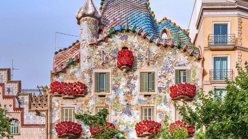 Die Casa Batlló in Barcelona. Zum „Diada de Sant Jordi“ (Georgstag) in Katalonien