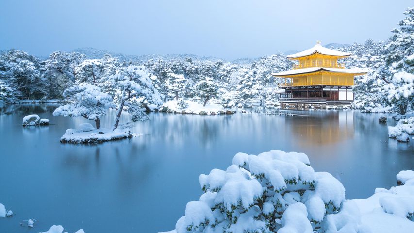 Kinkaku-ji-Tempel im Winter, Kyoto, Japan