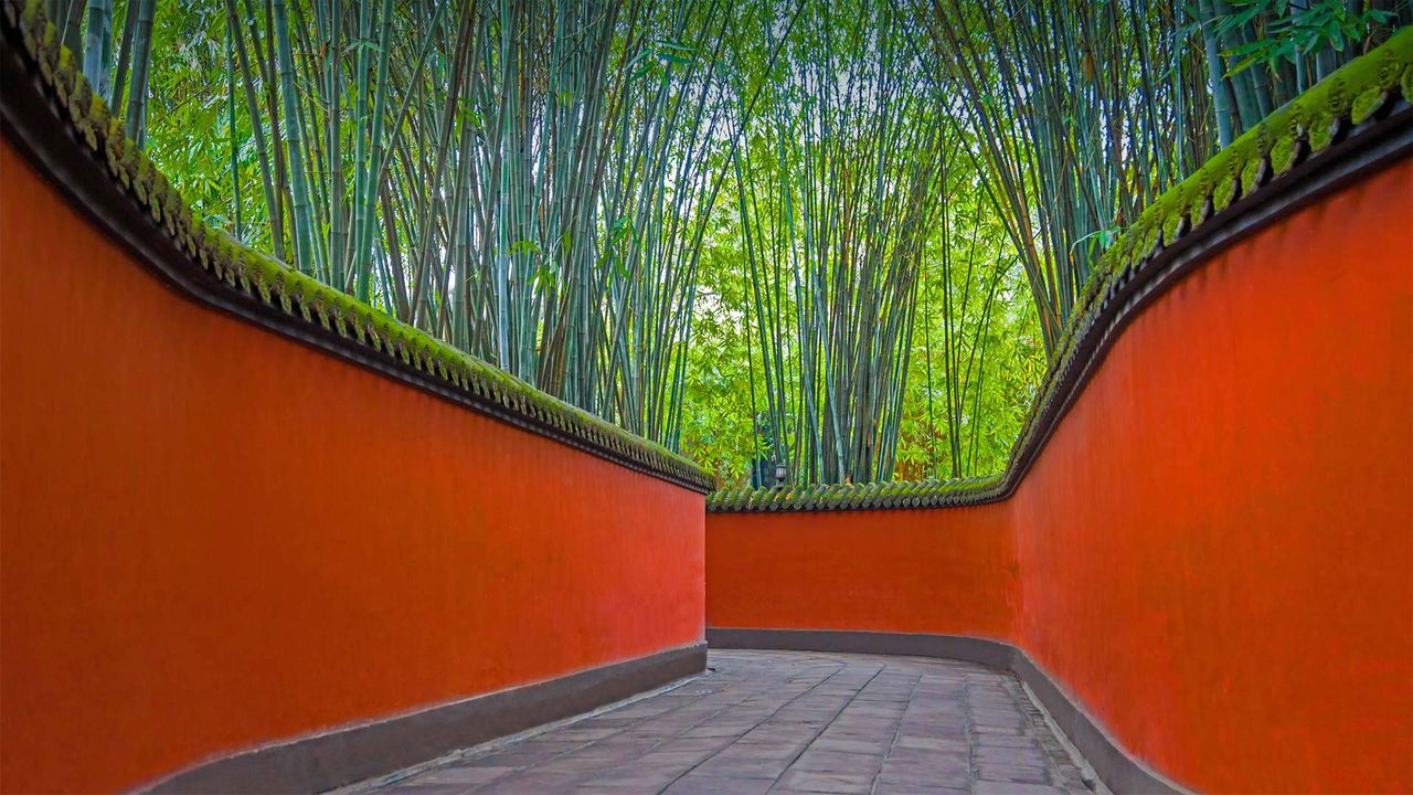 武侯祠内红墙和竹林掩映下的小巷，中国成都