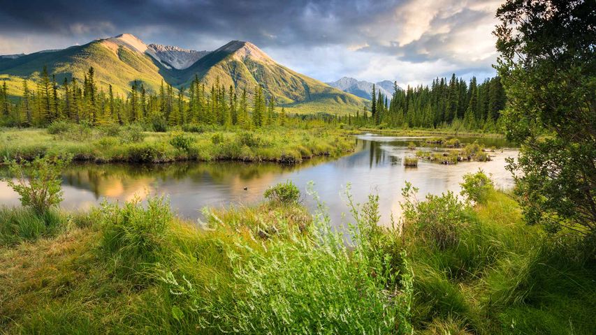 Die Vermilion Lakes in den Kanadischen Rocky Mountains