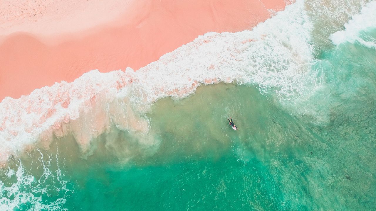 在邦迪海滩冲浪