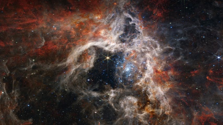 Junge Sterne, die sich im Tarantelnebel bilden, James-Webb-Weltraumteleskop
