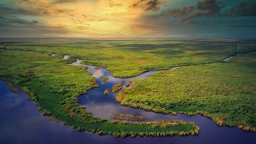 Luftaufnahme des Everglades-Nationalparks, Florida, USA